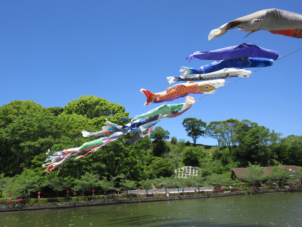 気持ちよく泳ぐ