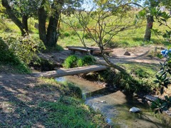 丸木橋を渡って