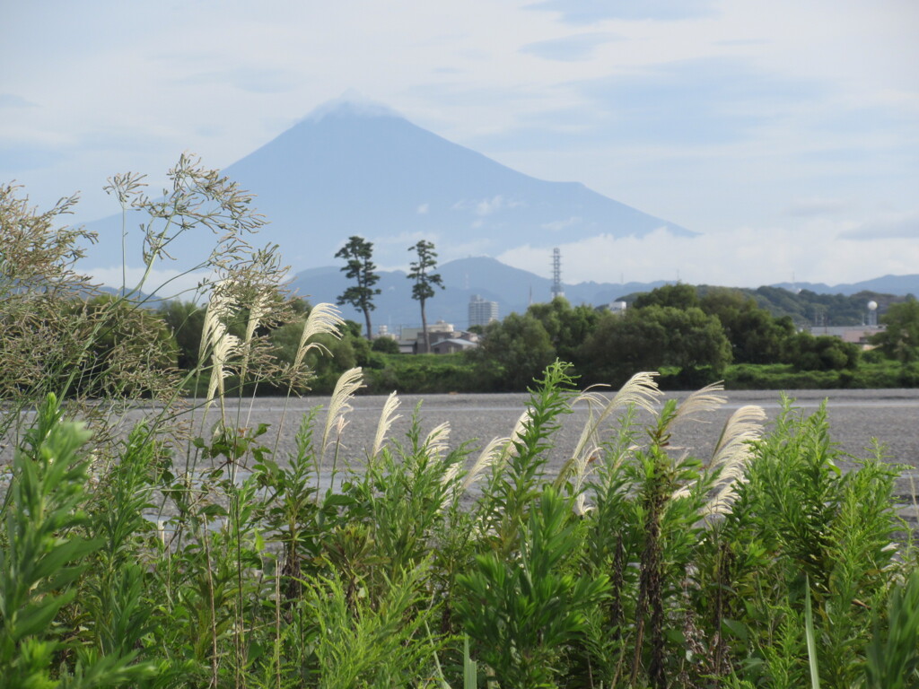 秋は来るのか