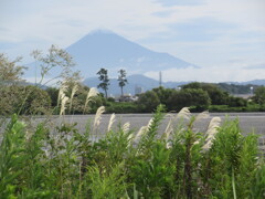 秋は来るのか