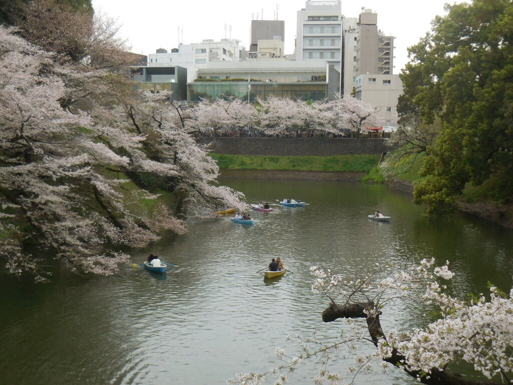 千鳥ヶ淵