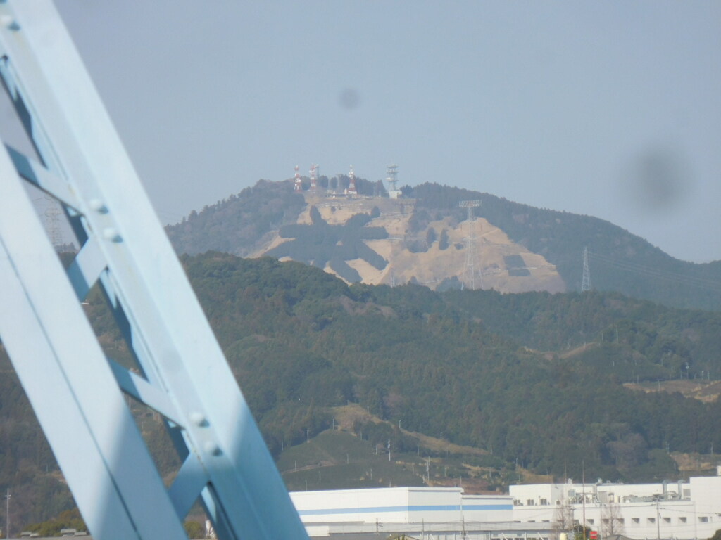 茶