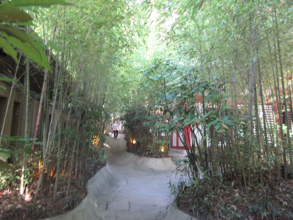 竹林の小道