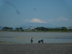 ５・１６の富士