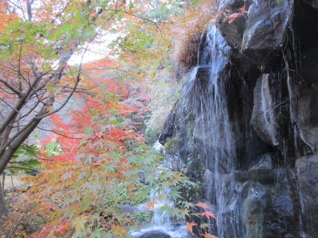 滝の裏から