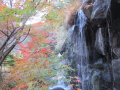 滝の裏から