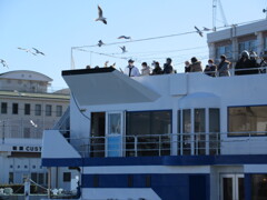 カモメをお供に