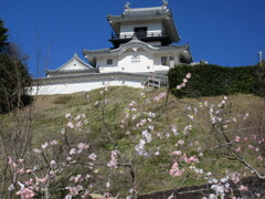 掛川城