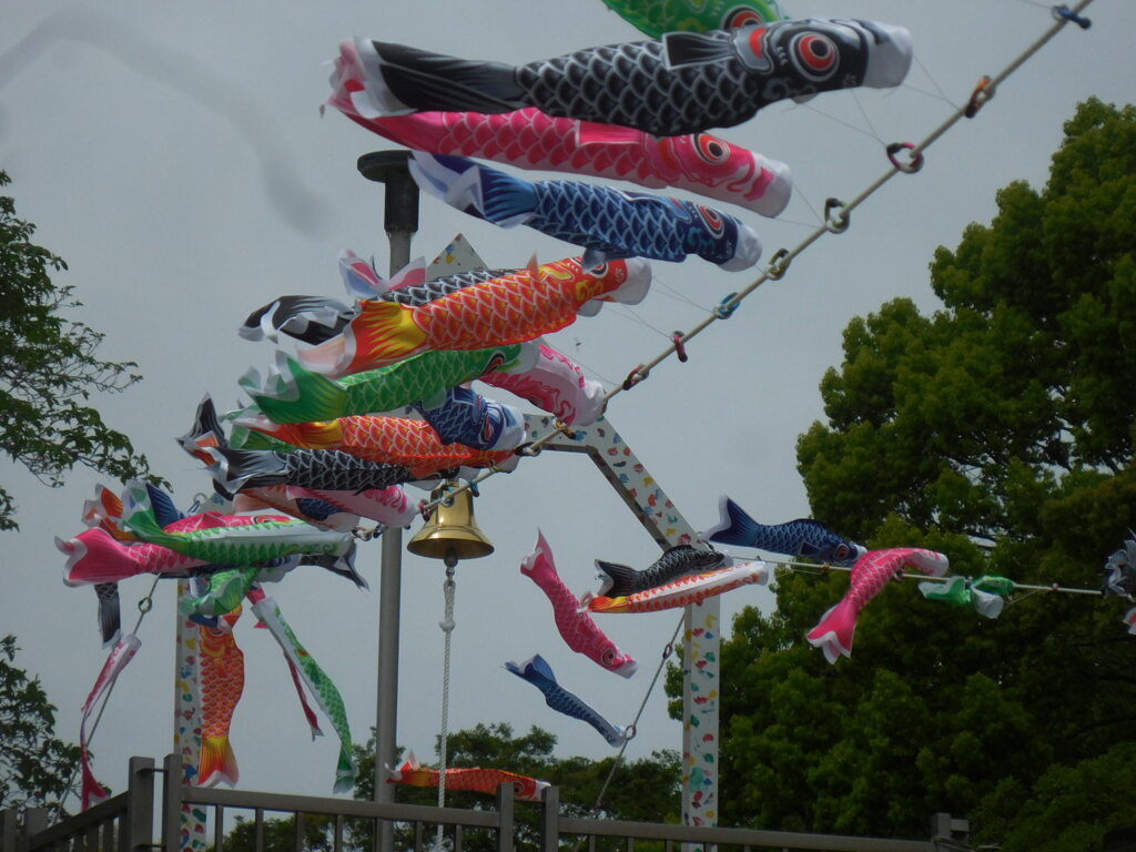 高く泳ぐよ