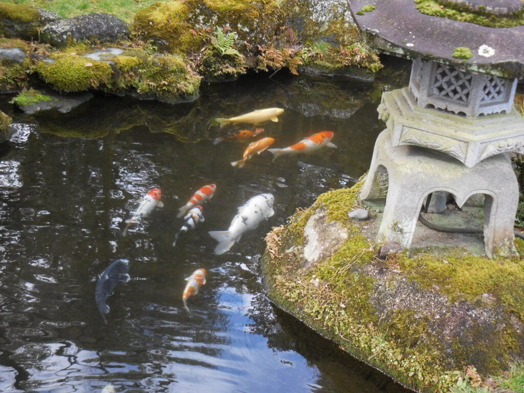 水　温む
