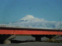 真っ白になった