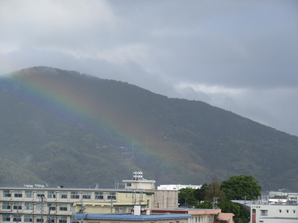 虹