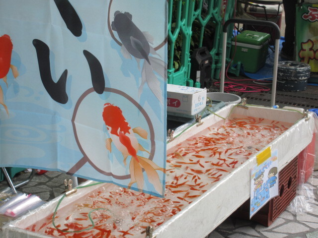 金魚すくい