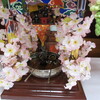 花まつり