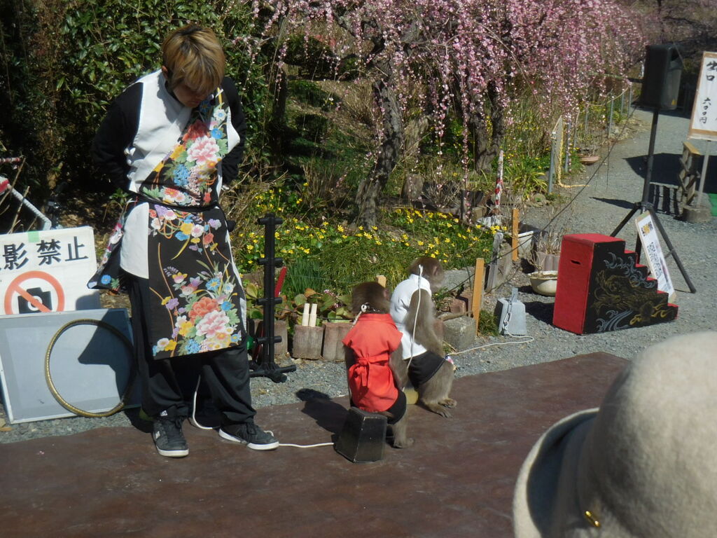 猿回し