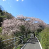 一足お先に