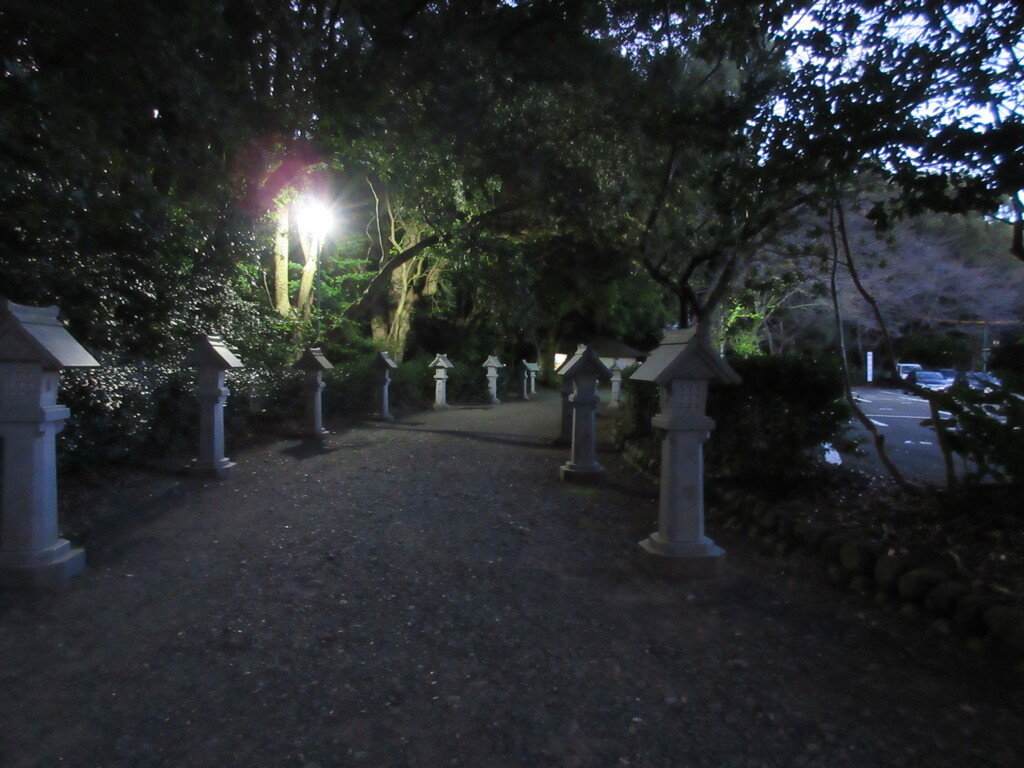 夜の参道を行く