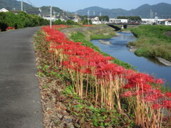 ちょっと遅れて