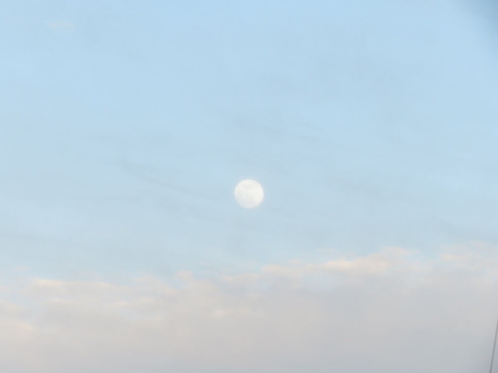 Pastel Moon