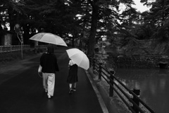 雨の散歩