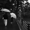 雨の散歩