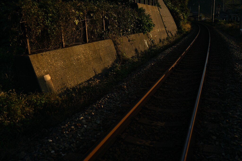 夕日に染まる