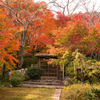 嵯峨野の紅葉①