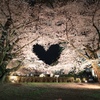 弘前公園 夜の桜ハート