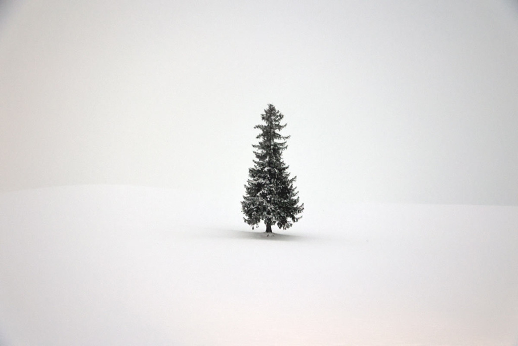 メリークリスマス！