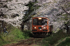 津軽鉄道 芦野公園駅付近