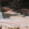 弘前公園 中濠観光舟