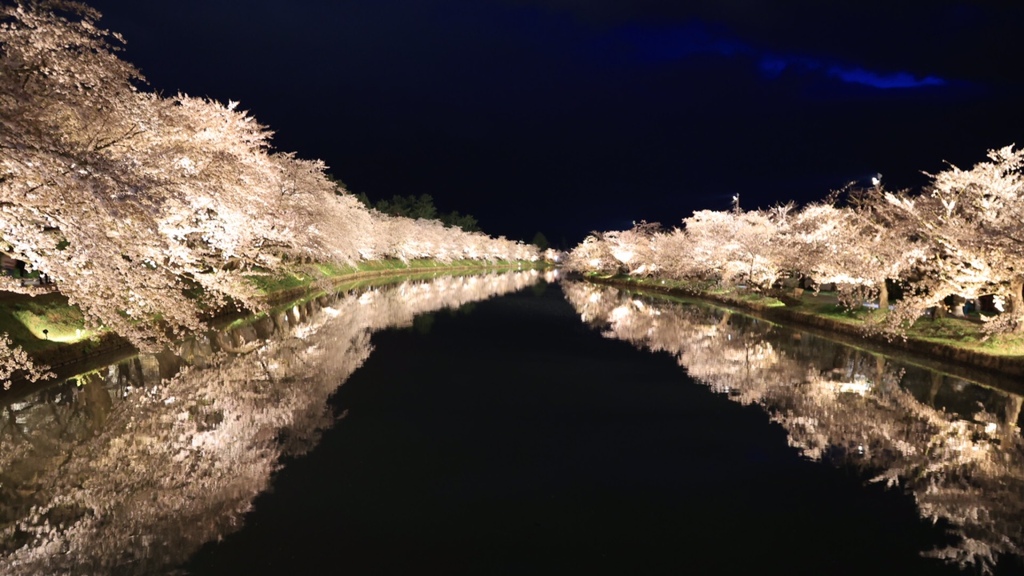 弘前公園西濠ライトアップ