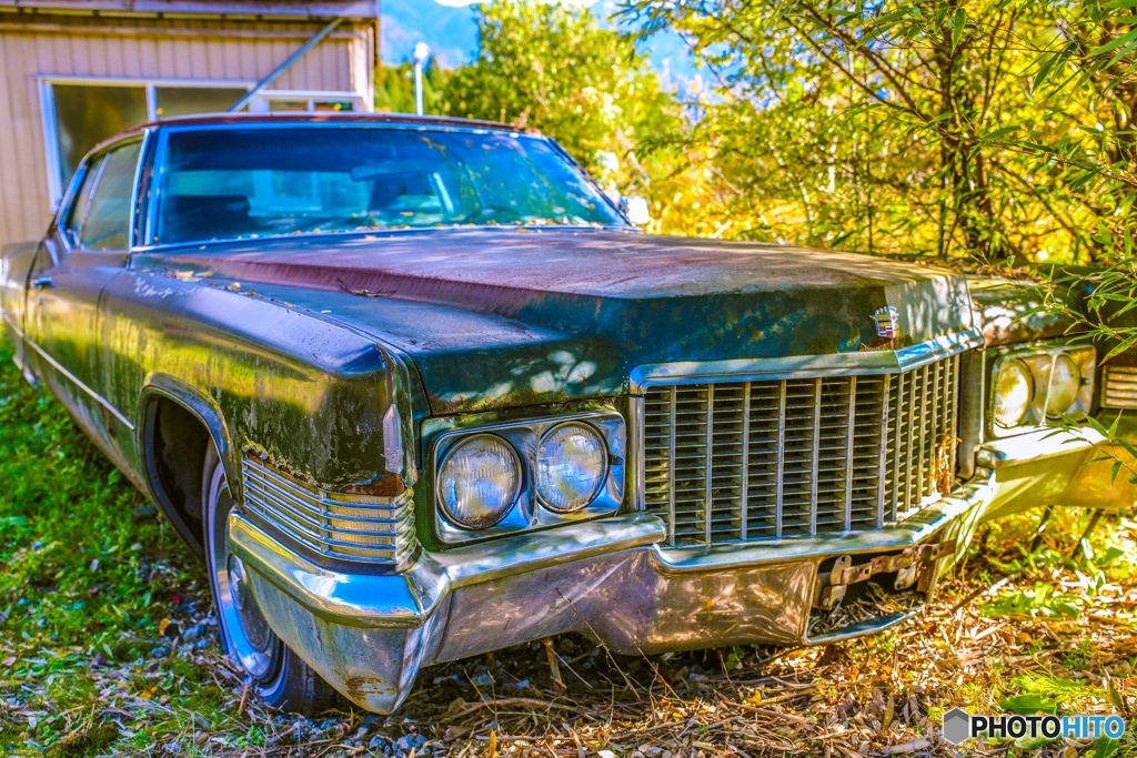 旧車