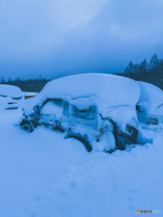 今年雪多い