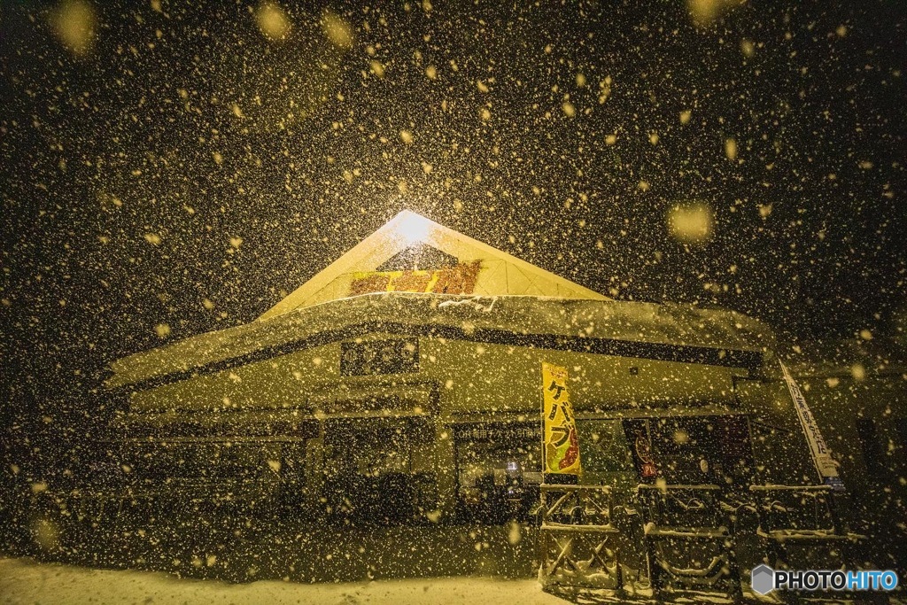 宝台樹
