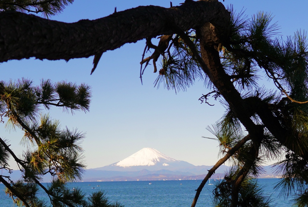 森戸神社からの富士山　謹賀新年！
