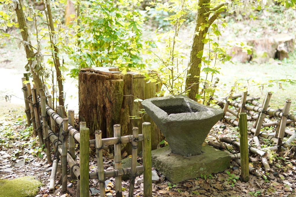 散歩　舞岡神社④