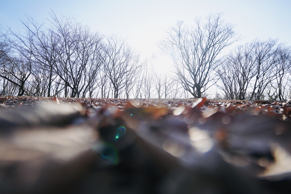 写ん歩①