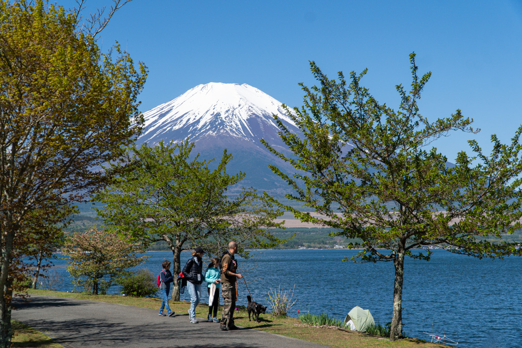 FUJISAN