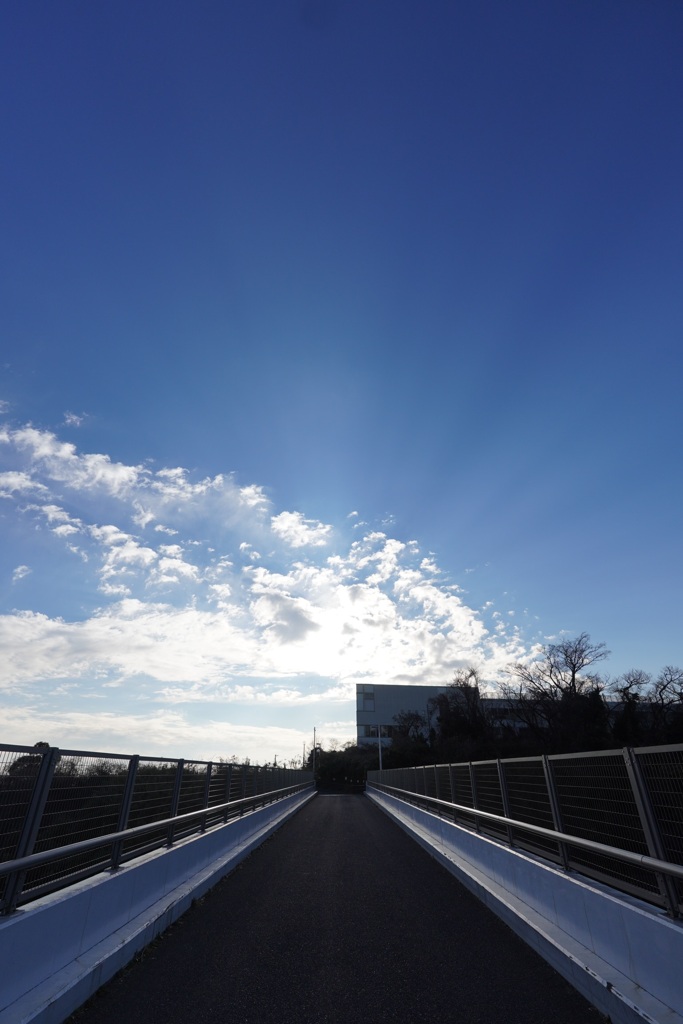 写ん歩②