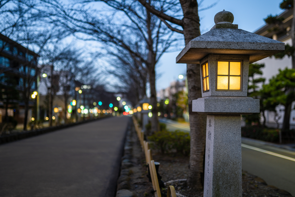 春待つ灯り