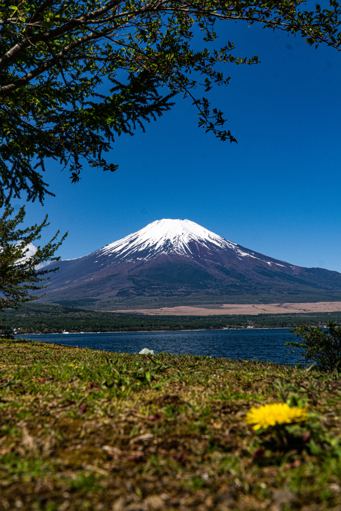 富士ポポ