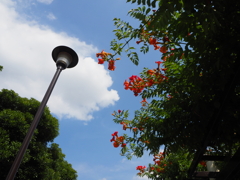 夏空