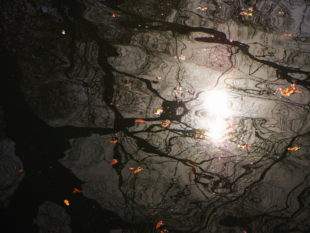 水面