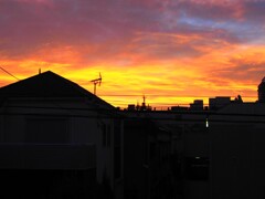 今朝の空