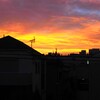 今朝の空