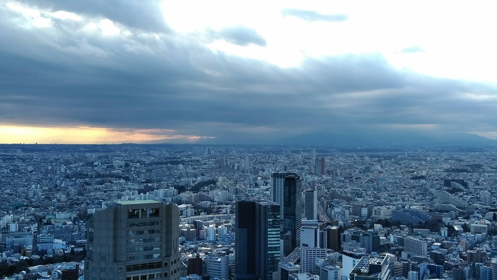 大都会
