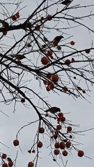 会食中