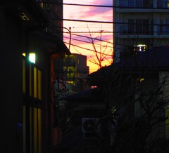 隙間の夕映え