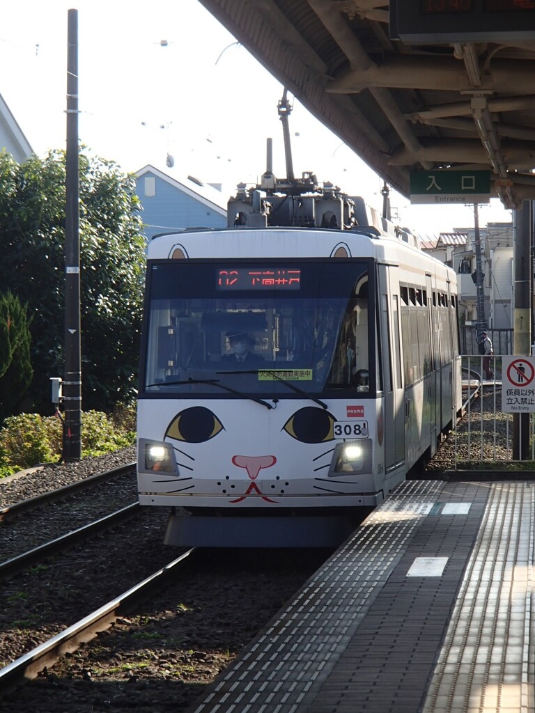 良い年くるよ